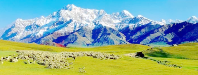 1630318355(1).png